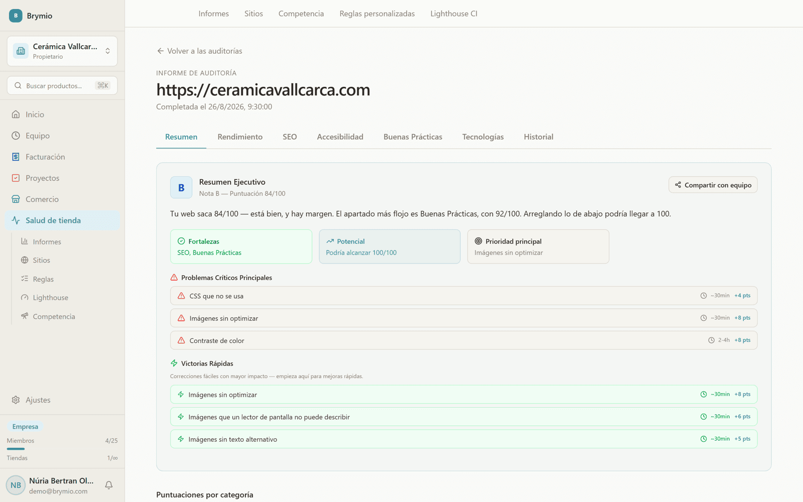 A Store Health report with scores and issues